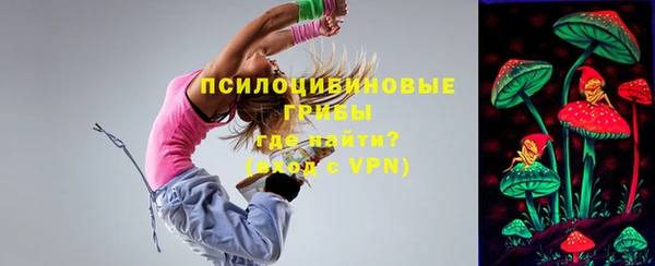 apvp Видное