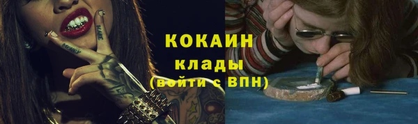 дурь Новодвинск