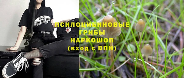 МДМА Новозыбков